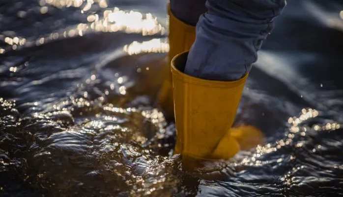 Vendre un bien en zone inondable ou à risques : quelles informations obligatoires ?